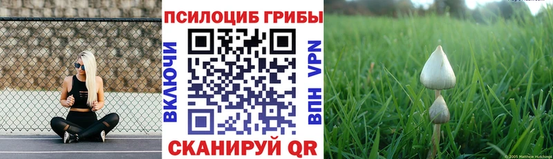 Галлюциногенные грибы мицелий  Поронайск 